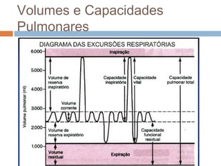 Volumes e Capacidades 
Pulmonares 
 