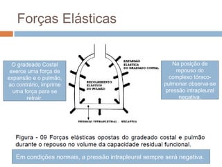 Forças Elásticas 
Na posição de 
repouso do 
complexo tóraco-pulmonar 
observa-se 
pressão intrapleural 
negativa. 
O gradeado Costal 
exerce uma força de 
expansão e o pulmão, 
ao contrário, imprime 
uma força para se 
retrair. 
Em condições normais, a pressão intrapleural sempre será negativa. 
 