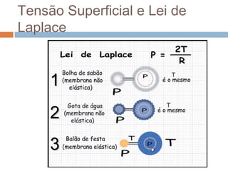 Tensão Superficial e Lei de 
Laplace 
11 
22 
33 
 