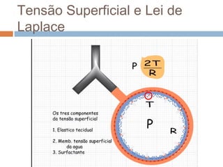 Tensão Superficial e Lei de 
Laplace 
 