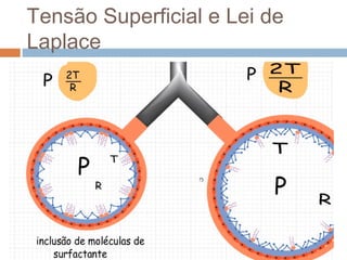 Tensão Superficial e Lei de 
Laplace 
 