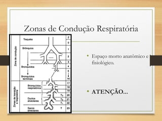 Zonas de Condução Respiratória
• Espaço morto anatômico e
fisiológico.
• ATENÇÃO...
 