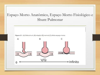 Espaço Morto Anatômico, Espaço Morto Fisiológico e
Shunt Pulmonar
 