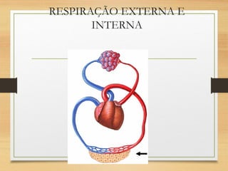 RESPIRAÇÃO EXTERNA E
INTERNA
 