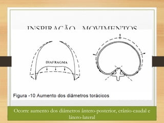INSPIRAÇÃO - MOVIMENTOS
Ocorre aumento dos diâmetros ântero-posterior, crânio-caudal e
látero-lateral
 