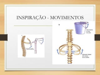 INSPIRAÇÃO - MOVIMENTOS
 