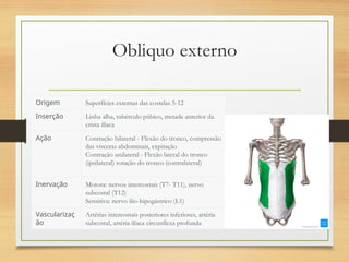 Obliquo externo
Origem Superfícies externas das costelas 5-12
Inserção Linha alba, tubérculo púbico, metade anterior da
crista ilíaca
Ação Contração bilateral - Flexão do tronco, compressão
das vísceras abdominais, expiração
Contração unilateral - Flexão lateral do tronco
(ipsilateral) rotação do tronco (contralateral)
Inervação Motora: nervos intercostais (T7- T11), nervo
subcostal (T12)
Sensitiva: nervo ilio-hipogástrico (L1)
Vascularizaç
ão
Artérias intercostais posteriores inferiores, artéria
subcostal, artéria ilíaca circunflexa profunda
 