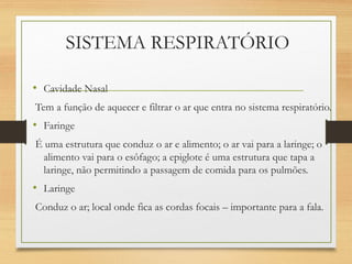 SISTEMA RESPIRATÓRIO
• Cavidade Nasal
Tem a função de aquecer e filtrar o ar que entra no sistema respiratório.
• Faringe
É uma estrutura que conduz o ar e alimento; o ar vai para a laringe; o
alimento vai para o esôfago; a epiglote é uma estrutura que tapa a
laringe, não permitindo a passagem de comida para os pulmões.
• Laringe
Conduz o ar; local onde fica as cordas focais – importante para a fala.
 
