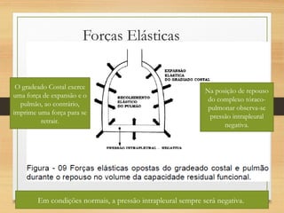 Forças Elásticas
Na posição de repouso
do complexo tóraco-
pulmonar observa-se
pressão intrapleural
negativa.
O gradeado Costal exerce
uma força de expansão e o
pulmão, ao contrário,
imprime uma força para se
retrair.
Em condições normais, a pressão intrapleural sempre será negativa.
 