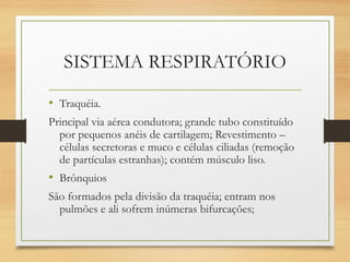 SISTEMA RESPIRATÓRIO
• Traquéia.
Principal via aérea condutora; grande tubo constituído
por pequenos anéis de cartilagem; Revestimento –
células secretoras e muco e células ciliadas (remoção
de partículas estranhas); contém músculo liso.
• Brônquios
São formados pela divisão da traquéia; entram nos
pulmões e ali sofrem inúmeras bifurcações;
 