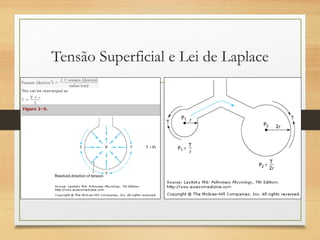 Tensão Superficial e Lei de Laplace
 