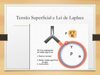 Tensão Superficial e Lei de Laplace
 