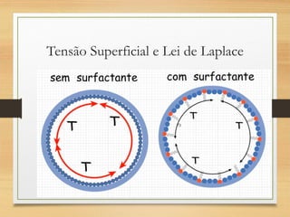 Tensão Superficial e Lei de Laplace
 
