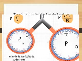Tensão Superficial e Lei de Laplace
 