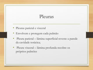 Pleuras
• Pleuras parietal e visceral
• Envolvem e protegem cada pulmão
• Pleura parietal – lâmina superficial reveste a parede
da cavidade torácica;
• Pleura visceral – lâmina profunda recobre os
próprios pulmões
 