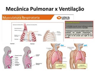 Mecânica Pulmonar x Ventilação
 