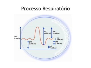 Processo Respiratório
 