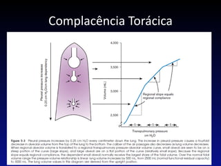 Complacência Torácica
PVM
 