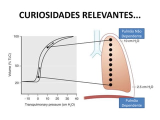 CURIOSIDADES RELEVANTES...
Pulmão
Dependente
Pulmão Não
Dependente
 
