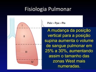 Fisiologia Pulmonar
A mudança da posição
vertical para a posição
supina aumenta o volume
de sangue pulmonar em
25% a 30%, aumentando
assim o tamanho das
zonas West mais
numeradas.
 
