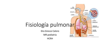 Fisiología pulmonar
Dra Grecce Calero
MR pediatría
HCRH
 