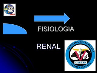 FISIOLOGIA RENAL 