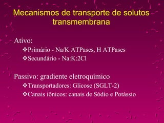 Mecanismos de transporte de solutos transmembrana Ativo: Primário - Na/K ATPases, H ATPases Secundário - Na:K:2Cl Passivo: gradiente eletroquímico Transportadores: Glicose (SGLT-2) Canais iônicos: canais de Sódio e Potássio 