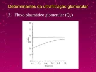 Determinantes da ultrafiltração glomerular 3. Fluxo plasmático glomerular (Q A ) 