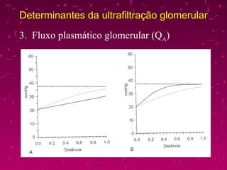 Determinantes da ultrafiltração glomerular 3.  Fluxo plasmático glomerular (Q A ) 