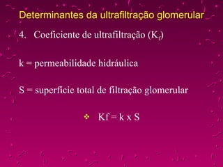 Determinantes da ultrafiltração glomerular 4. Coeficiente de ultrafiltração (K f ) k = permeabilidade hidráulica S = superfície total de filtração glomerular Kf = k x S 