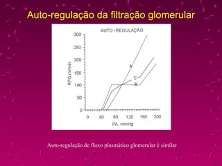 Auto-regulação da filtração glomerular Auto-regulação de fluxo plasmático glomerular é similar 