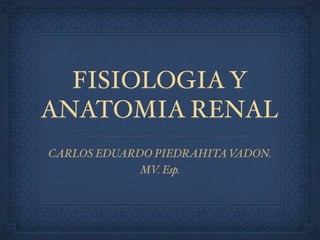 FISIOLOGIA Y
ANATOMIA RENAL
CARLOS EDUARDO PIEDRAHITA VADON.
             MV. Esp.
 