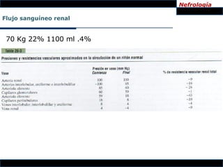 Nefrología

Flujo sanguíneo renal


 70 Kg 22% 1100 ml .4%
 