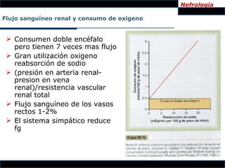 Nefrología

Flujo sanguíneo renal y consumo de oxigeno


  Consumen doble encéfalo
   pero tienen 7 veces mas flujo
  Gran utilización oxigeno
   reabsorción de sodio
  (presión en arteria renal-
   presion en vena
   renal)/resistencia vascular
   renal total
  Flujo sanguíneo de los vasos
   rectos 1-2%
  El sistema simpático reduce
   fg
 