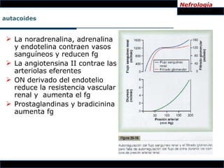 Nefrología

autacoides


  La noradrenalina, adrenalina
   y endotelina contraen vasos
   sanguíneos y reducen fg
  La angiotensina II contrae las
   arteriolas eferentes
  ON derivado del endotelio
   reduce la resistencia vascular
   renal y aumenta el fg
  Prostaglandinas y bradicinina
   aumenta fg
 