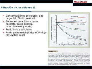 Nefrología

Filtración de los riñones II


  Concentraciones de solutos a lo
   largo del túbulo proximal
  Secrecion de acidos y bases
   (oxalato, sales biliares,
   catecolaminas y urato)
  Penicilinas y salicilatos
  Acido paraaminohipurico 90% flujo
   plasmatico renal
 