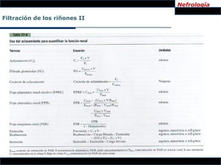 Nefrología

Filtración de los riñones II
 