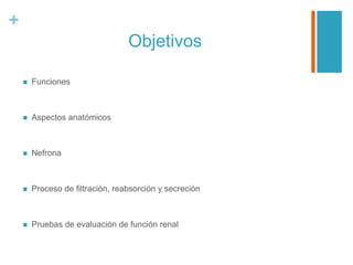 +
Objetivos
 Funciones
 Aspectos anatómicos
 Nefrona
 Proceso de filtración, reabsorción y secreción
 Pruebas de evaluación de función renal
 
