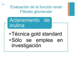 +
Evaluación de la función renal
Filtrado glomerular
•Técnica gold standard
•Sólo se emplea en
investigación
Aclaramiento de
inulina
 
