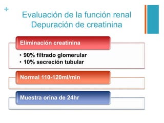 +
Evaluación de la función renal
Depuración de creatinina
• 90% filtrado glomerular
• 10% secreción tubular
Eliminación creatinina
Normal 110-120ml/min
Muestra orina de 24hr
 