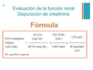 +
Evaluación de la función renal
Depuración de creatinina
 