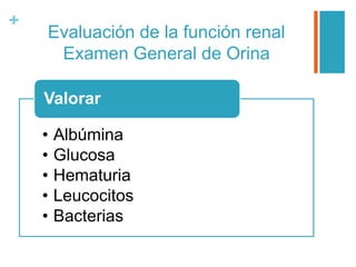 +
Evaluación de la función renal
Examen General de Orina
• Albúmina
• Glucosa
• Hematuria
• Leucocitos
• Bacterias
Valorar
 