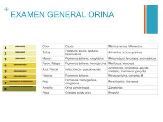 +
EXAMEN GENERAL ORINA
 