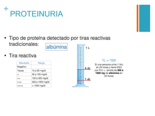 +
PROTEINURIA
 