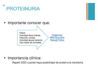 +
PROTEINURIA
 