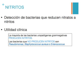 +
NITRITOS
 