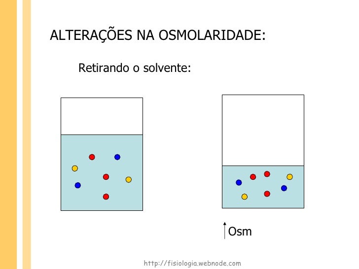 fisiologia-renal-regula-o-osmolaridade