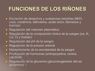 FUNCIONES DE LOS RIÑONES
 Excreción de desechos y sustancias extrañas (NH3,
urea, creatinina, bilirrubina, acido úrico, f...