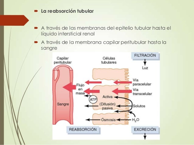 luz tubular luz tubular