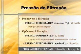 Pressão de Filtração

• Promovem a filtração:
  – PRESSÃO HIDROSTÁTICA glomerular (PG) = 60 mmHg
     • Dada pela pressão sanguínea

• Opõem-se à filtração:
                      π
  – PRESSÃO OSMÓTICA (πG) = 32 mmHg
     • Pressão oncótica - proteínas que permanecem nos capilares
  – PRESSÃO HIDROSTÁTICA capsular (PC) = 18 mmHg

  PRESSÃO DE FILTRAÇÃO = 10 mmHg = PG - πG - Pc
 